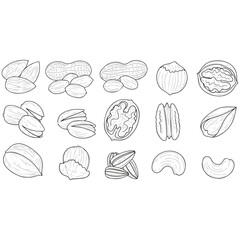 Assortment of various nuts in a line, perfect for healthy snacking and culinary uses.