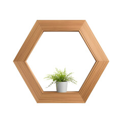 Minimalist home decor featuring a geometric wooden hexagon frame holding a small green fern in a white pot, isolated on a clean white background