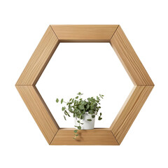 Minimalist Hexagonal Plant Display with Natural Wood Frame