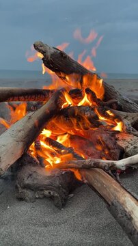 Close-up of bright flames on burning driftwood fire on beach in evening