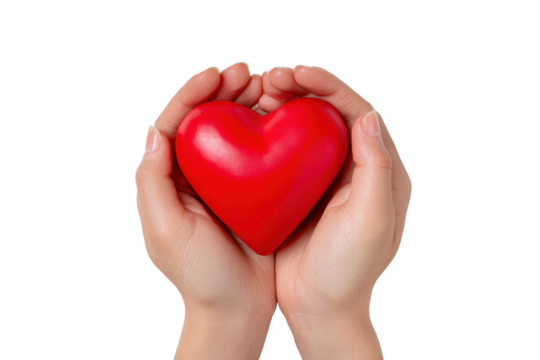 A person is holding a red heart in their hands. The heart is made of rubber and is placed between the person's fingers. Concept of love and warmth, as the person is embracing the heart with care