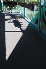 花壇のシルエット