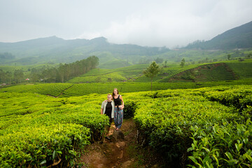 Fototapeta premium Tourists in Munnar tea plantations India