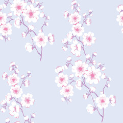 pink cherry blossom background