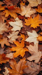 Vibrant tapestry of fallen autumn leaves in warm hues of orange yellow and brown covering the ground