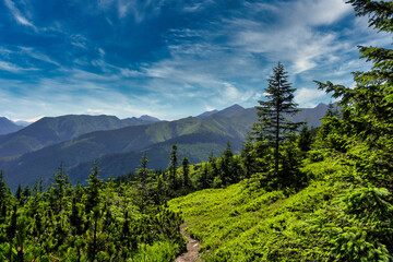 mountain landscape with trees and clouds