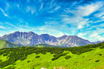 mountain landscape with trees and clouds