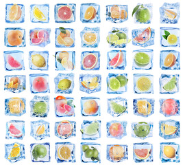 Citrus fruits in ice cubes isolated on white, set