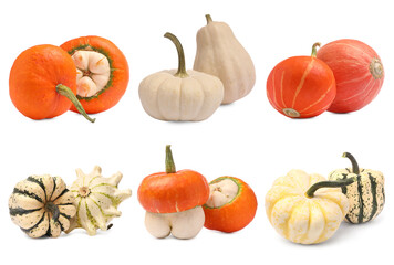 Fresh pumpkins isolated on white, set. Vegetables of gourd family