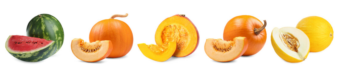 Fresh pumpkins, watermelon and melon isolated on white, set. Vegetables of gourd family