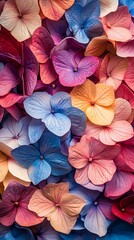 Vibrant close up of hydrangea petals displaying a spectrum of autumnal colors