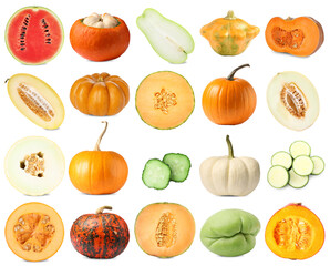 Fresh pumpkins and other vegetables of gourd family isolated on white, set