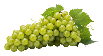Obraz premium A bunch of fresh green grapes with leaves isolated on transparent background, a healthy and delicious snack choice