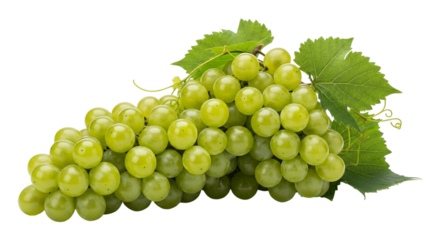 A bunch of fresh green grapes with leaves isolated on transparent background, a healthy and delicious snack choice