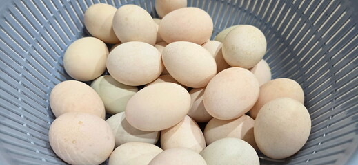 Ducks eggs are from native ducks. Several Organic duck eggs are placed in gray basket. Many white shelled are cleaned and ready for cooking. Cheap protein sources. Higher in calories than chicken eggs