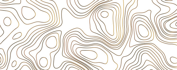 Topography vintage style background with organic elevation lines.  Black and Gray colored. Vector illustration.