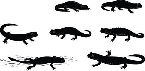 Salamander Silhouette Vector Set in Diverse Poses and Motion, Amphibian Wildlife Illustration for Nature, Biology, and Stock Use