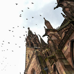 Fototapete bei efototapeten.de bestellen   