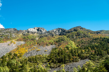 Obraz premium Vegetation landscape on plateau slopes in early autumn