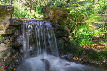 Water flowing over mossy stones in monserrate park