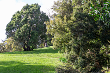 Monserrate park and palace garden growing lush green grass