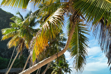 playa fronton las galeras samana republica dominicana