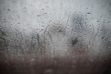 raindrops on the glass
