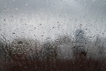 raindrops on the window