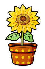 Obraz premium PNG Potted sunflower plant inflorescence cultivated.