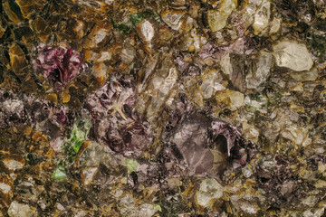 Detailed 4x macro shot: pink pyrope and green olivine on matrix. Shows crystal structure and their role as diamond indicators in kimberlite pipes