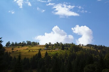 Obraz premium Mountain meadow under blue sky
