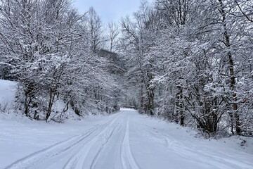 Obraz premium Snowy forest road in winter