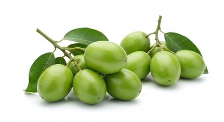 Obraz premium Cluster of oval, glossy green fruits with slender leaves on white background