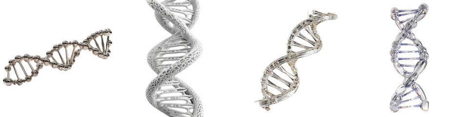 DNA double helix structure models on transparent background