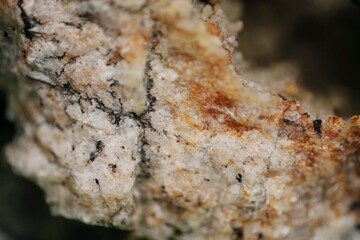 Macro rock decay in Khibiny, Russia — natural erosion, biological degradation and soil formation....