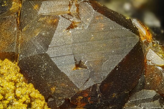 Garnet (andradite, hessanite) crystals. Sinyaya Rechka deposit, Far East, Russia. High magnification microphotograph- photo scale 10X.