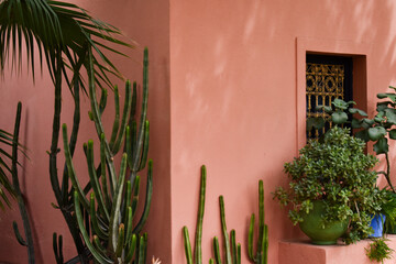 pink house with cactus © Whitney