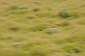 Naklejka premium Generative AI depicts abstract grassy terrain with blurred green mounds.