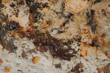 Macro degraded minerals and microplants from Khibiny — weathering and soil formation processes....