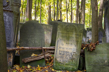 Fototapeta premium Cmentarz. Zabytkowy cmentarz żydowski w Warszawie