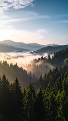 Obraz premium Misty morning sunrise over a dense mountain forest valley.