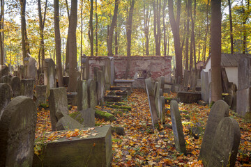 Cmentarz. Zabytkowy cmentarz żydowski w Warszawie