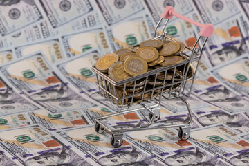 A supermarket trolley with 100 and 200 Kazakhstani tenge coins against a backdrop of 100 US dollar...