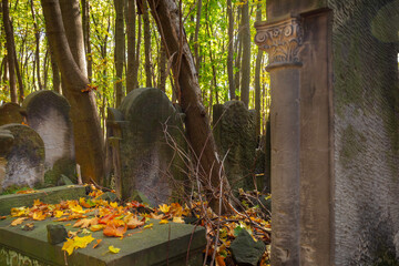 Cmentarz. Zabytkowy cmentarz żydowski w Warszawie