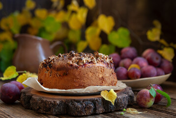 Homemade plum pie, close-up, selective focus