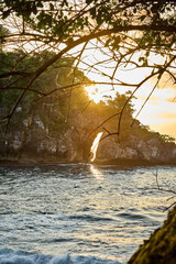 sunset in the forest