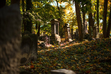 Cmentarz. Zabytkowy cmentarz żydowski w Warszawie