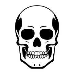 Skull vector. Skull icon vector