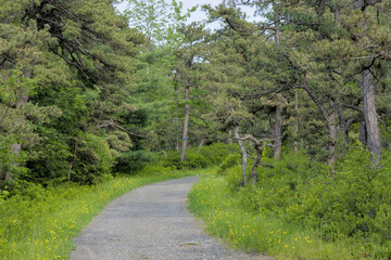 scenic lake overlook trail in minnewaska state park glacial rock path hiking hike travel tourism beautiful summer landscape new york shawangunk mountains catskills upstate public adventure outdoor
