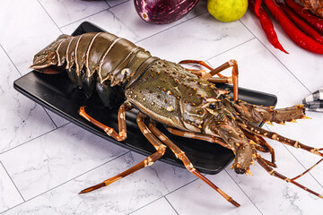 Raw wild fresh spiny lobster